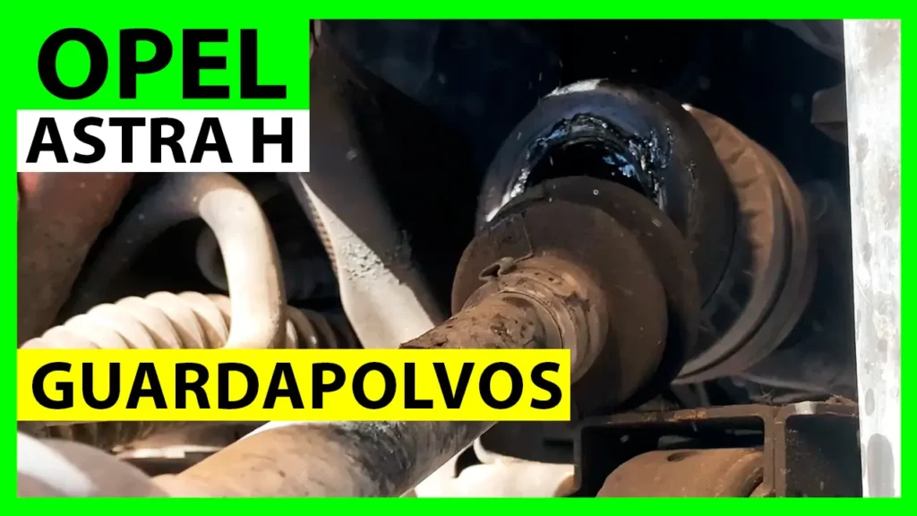 Guardapolvos de la transmisión